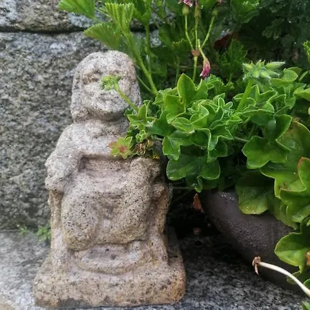 A Casa Da Ponte 別荘 *