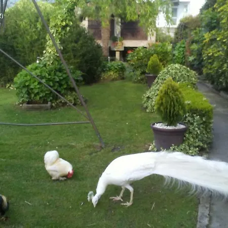 A Casa Da Ponte 別荘 サンシェンショ