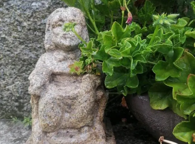 A Casa Da Ponte 펜션 *