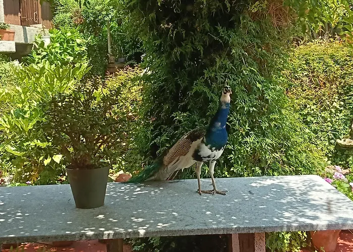 Dom wakacyjny A Casa Da Ponte *