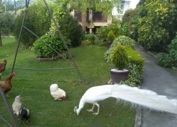 A Casa Da Ponte Dom wakacyjny Sanxenxo